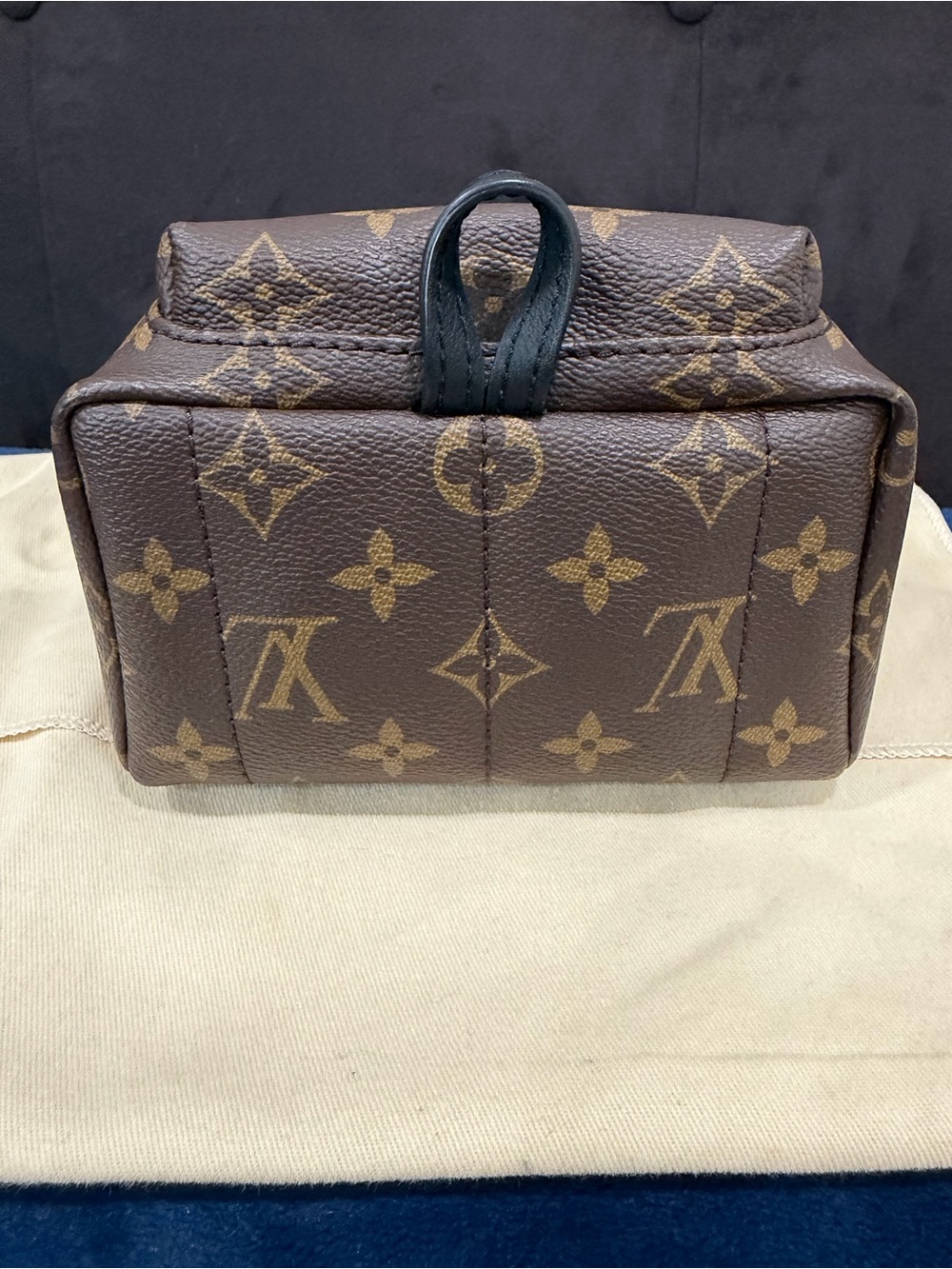 Louis Vuitton Palm Springs Mini Monogram - Picture 14 of 14